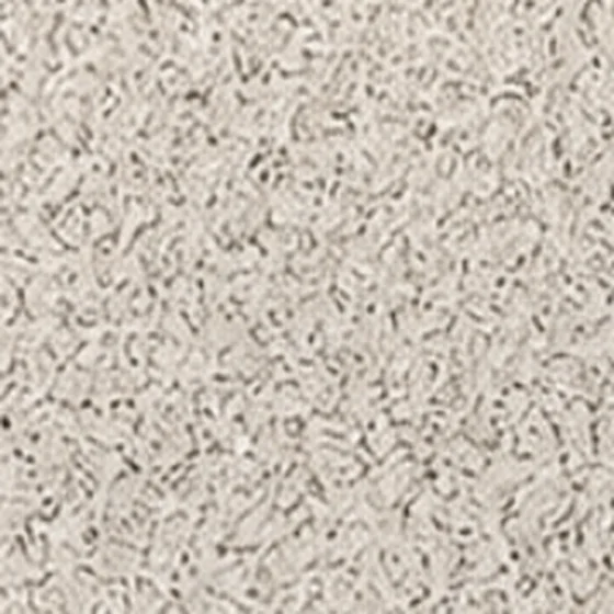 Origin Super Fine texture shade LSS2T