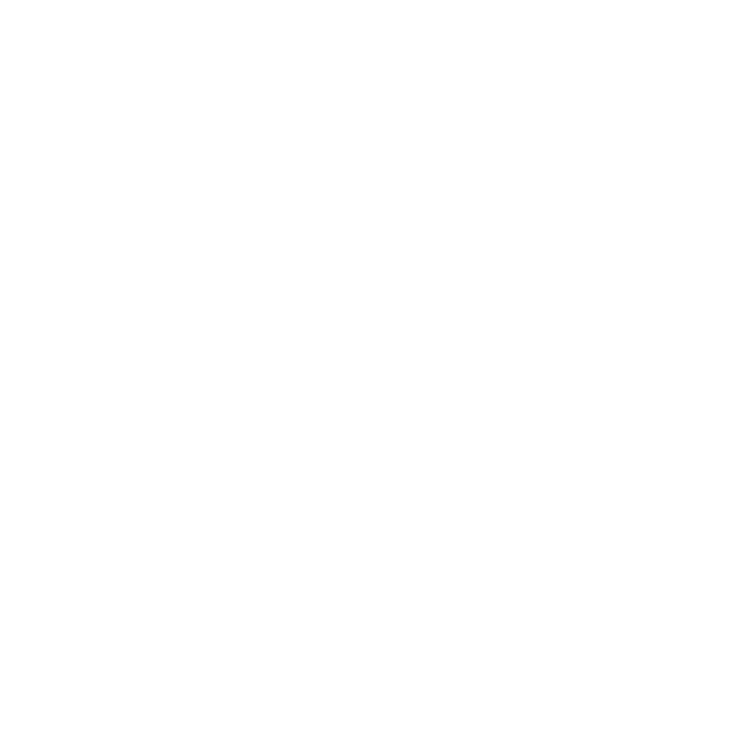 Natural stone finish icon